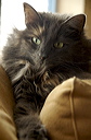 thumbnail_2