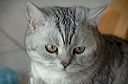 thumbnail_4