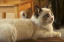 thumbnail_5