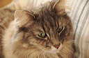 thumbnail_7