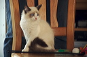 thumbnail_9
