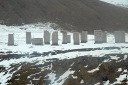 thumbnail_239